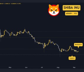 开元体育-SHIB突发安全漏洞，损失高至USDT万美元