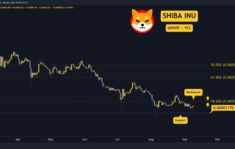 开元体育-SHIB突发安全漏洞，损失高至USDT万美元
